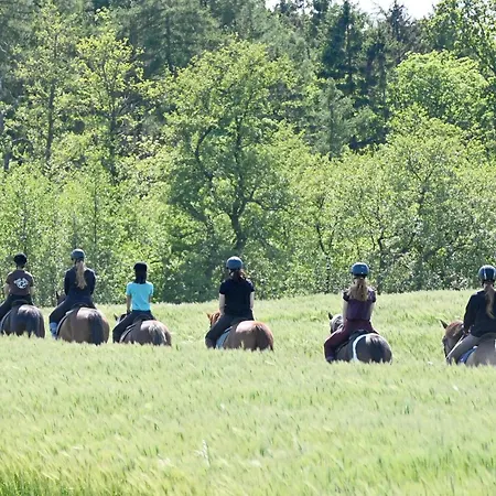 Luxuswellnesshaus Strandfee
